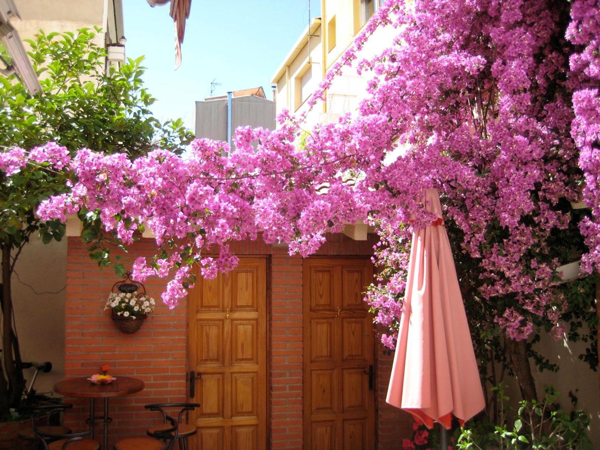Pension Casa Austria Calella Exterior foto